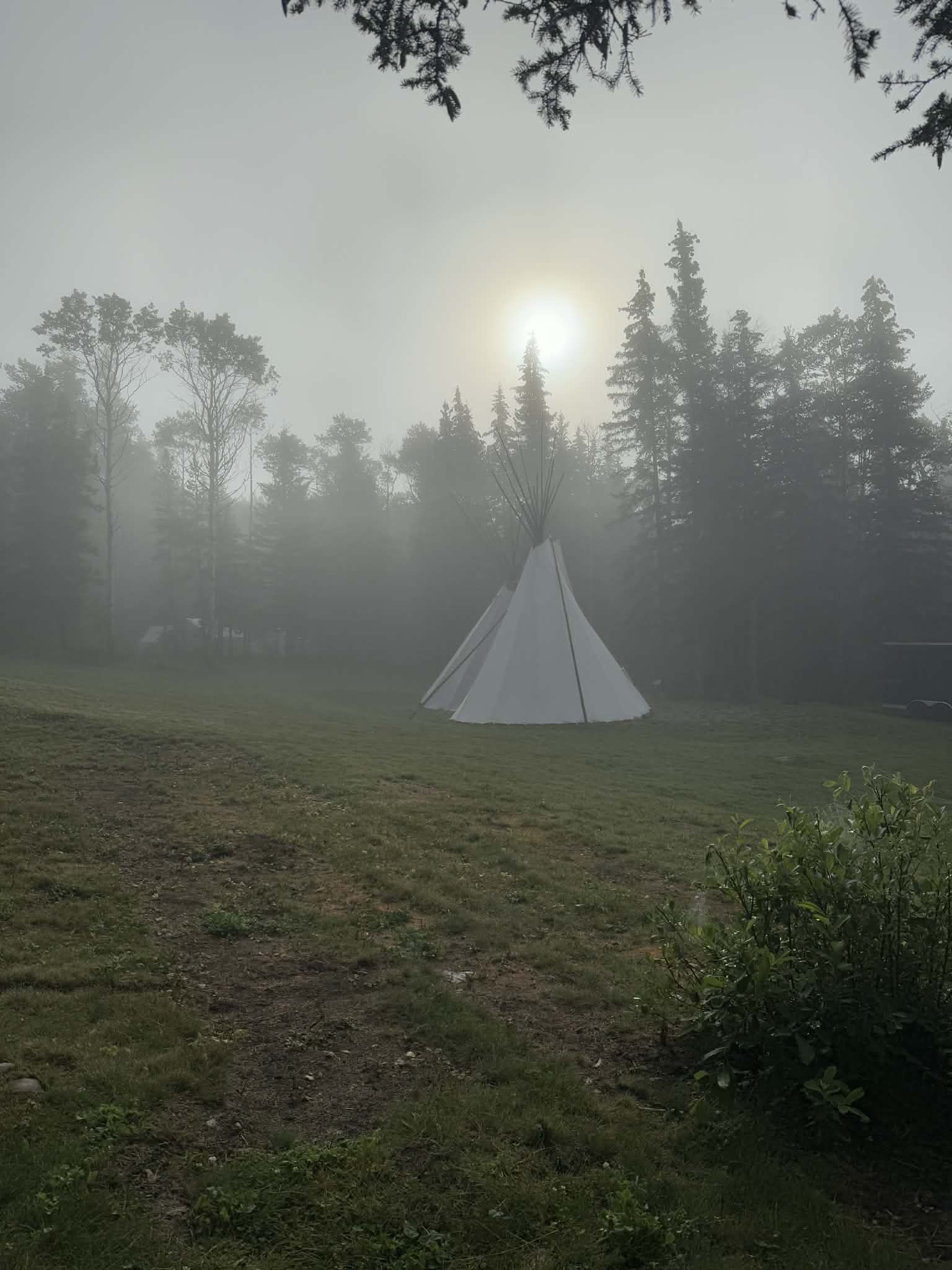 A white tipi standing in an open grassy clearing on a foggy morning at Peavine Lake Wilderness Camp, surrounded by tall spruce and leafless trees. The sun glows softly through the mist above the treeline, and the foreground shows damp grass and low shrubs, creating a quiet, atmospheric scene of Indigenous-led wilderness.